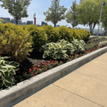 DETROIT RIVERWALK